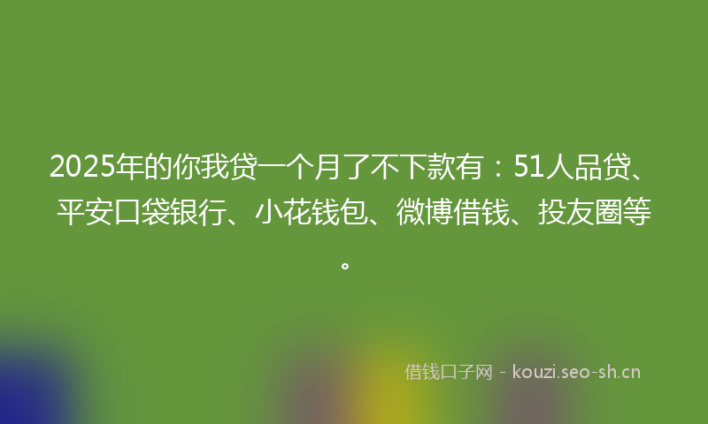 2025年的你我贷一个月了不下款有:51人品贷、平安口袋银行、小花钱包、微博借钱、投友圈等。