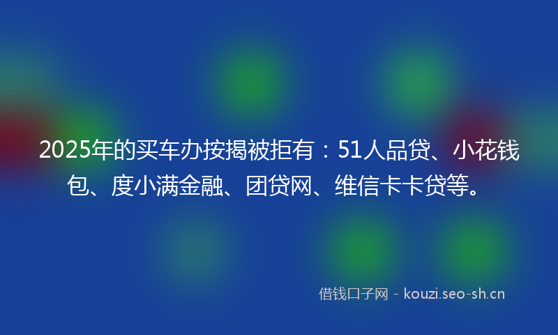 2025年的买车办按揭被拒有：51人品贷、小花钱包、度小满金融、团贷网、维信卡卡贷等。