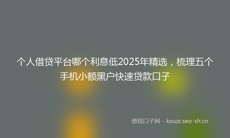 个人借贷平台哪个利息低2025年精选，梳理五个手机小额黑户快速贷款口子