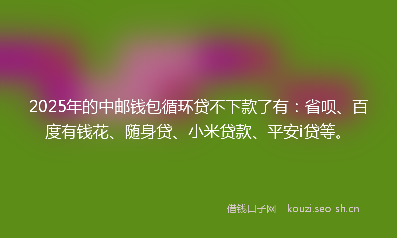2025年的中邮钱包循环贷不下款了有：省呗、百度有钱花、随身贷、小米贷款、平安i贷等。