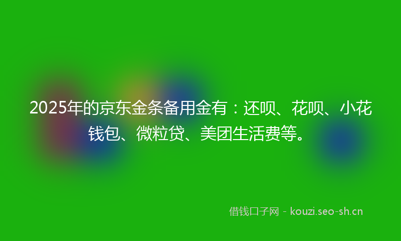 2025年的京东金条备用金有：还呗、花呗、小花钱包、微粒贷、美团生活费等。
