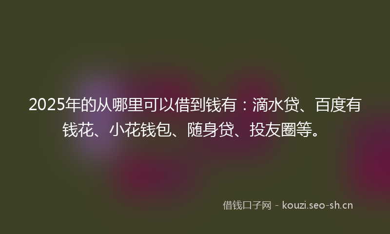 2025年的从哪里可以借到钱有：滴水贷、百度有钱花、小花钱包、随身贷、投友圈等。