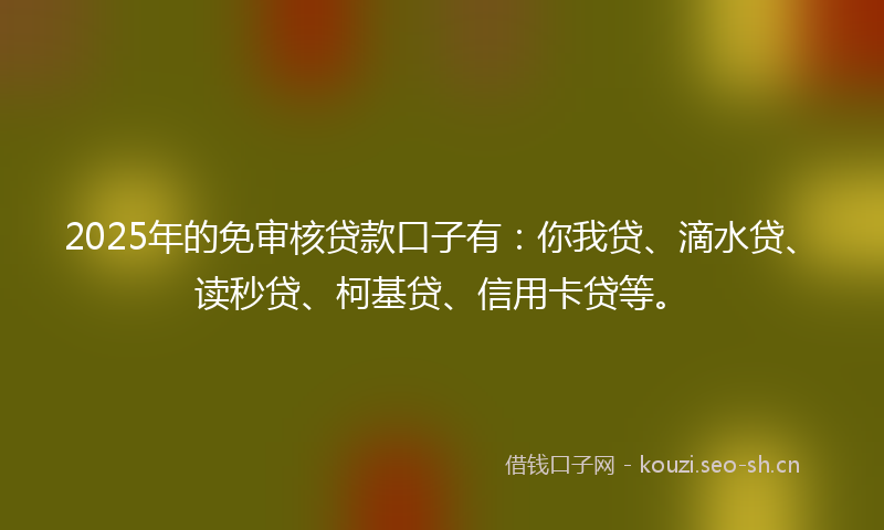 2025年的免审核贷款口子有:你我贷、滴水贷、读秒贷、柯基贷、信用卡贷等。