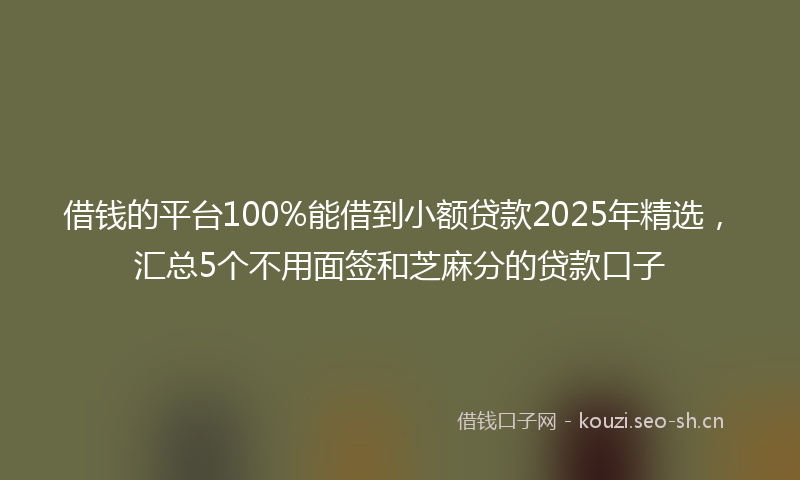 借钱的平台100%能借到小额贷款2025年精选,汇总5个不用面签和芝麻分的贷款口子