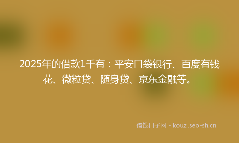 2025年的借款1千有：平安口袋银行、百度有钱花、微粒贷、随身贷、京东金融等。