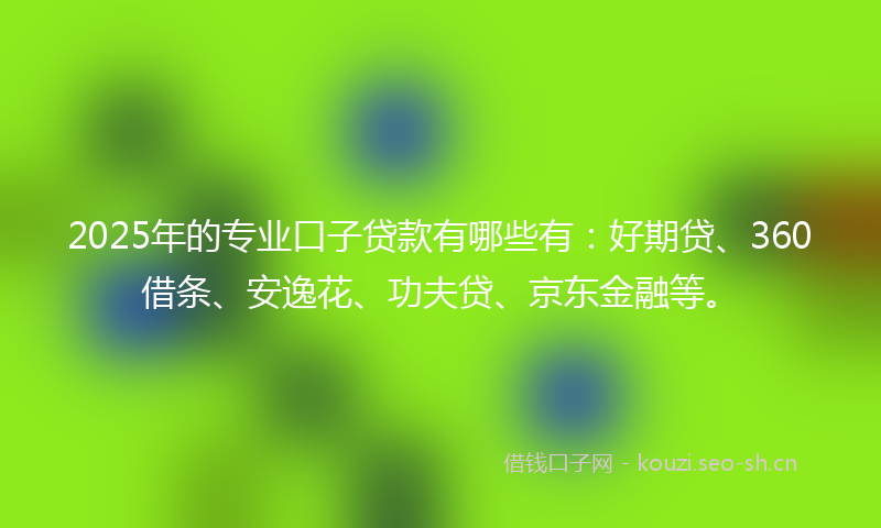 2025年的专业口子贷款有哪些有：好期贷、360借条、安逸花、功夫贷、京东金融等。