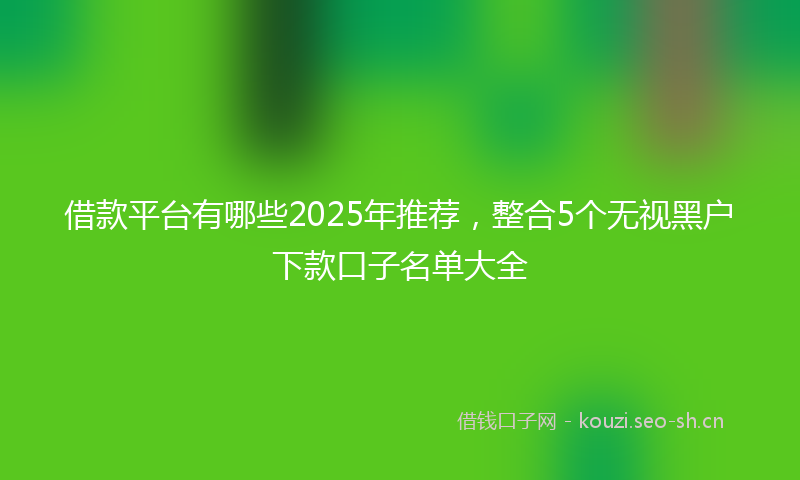 借款平台有哪些2025年推荐，整合5个无视黑户下款口子名单大全