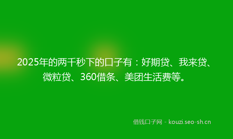 2025年的两千秒下的口子有：好期贷、我来贷、微粒贷、360借条、美团生活费等。
