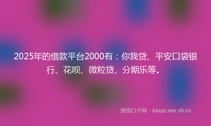 2025年的借款平台2000有:你我贷、平安口袋银行、花呗、微粒贷、分期乐等。