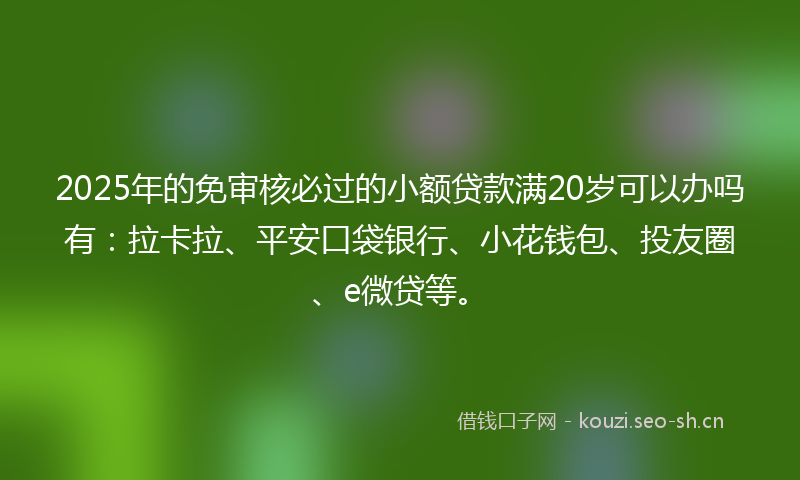 2025年的免审核必过的小额贷款满20岁可以办吗有：拉卡拉、平安口袋银行、小花钱包、投友圈、e微贷等。