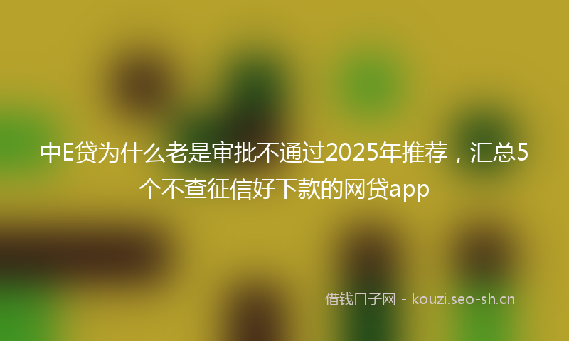 中E贷为什么老是审批不通过2025年推荐，汇总5个不查征信好下款的网贷app