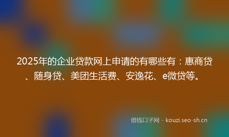 2025年的企业贷款网上申请的有哪些有：惠商贷、随身贷、美团生活费、安逸花、e微贷等。