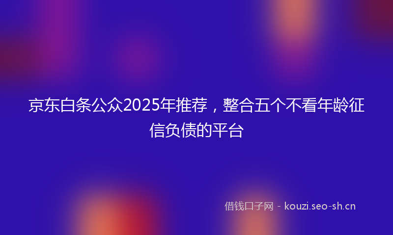 京东白条公众2025年推荐，整合五个不看年龄征信负债的平台
