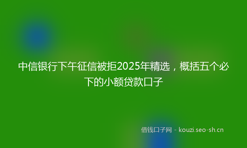 中信银行下午征信被拒2025年精选，概括五个必下的小额贷款口子