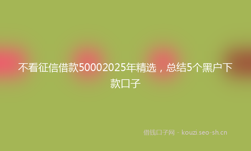 不看征信借款50002025年精选，总结5个黑户下款口子