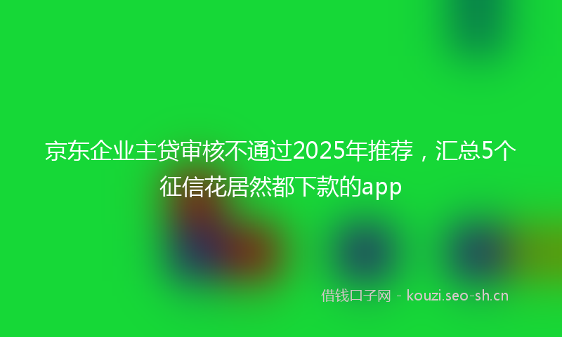 京东企业主贷审核不通过2025年推荐,汇总5个征信花居然都下款的app
