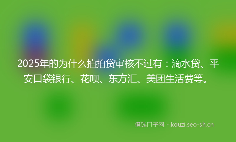 2025年的为什么拍拍贷审核不过有：滴水贷、平安口袋银行、花呗、东方汇、美团生活费等。