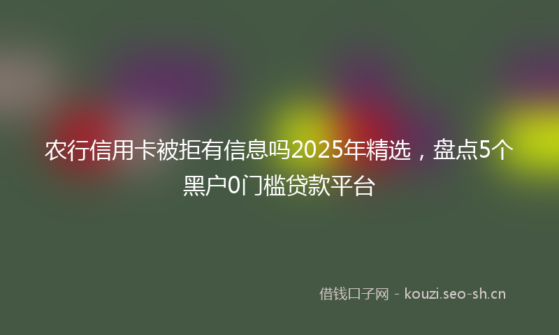 农行信用卡被拒有信息吗2025年精选,盘点5个黑户0门槛贷款平台