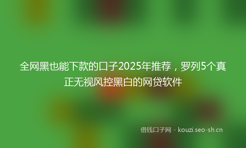 全网黑也能下款的口子2025年推荐，罗列5个真正无视风控黑白的网贷软件