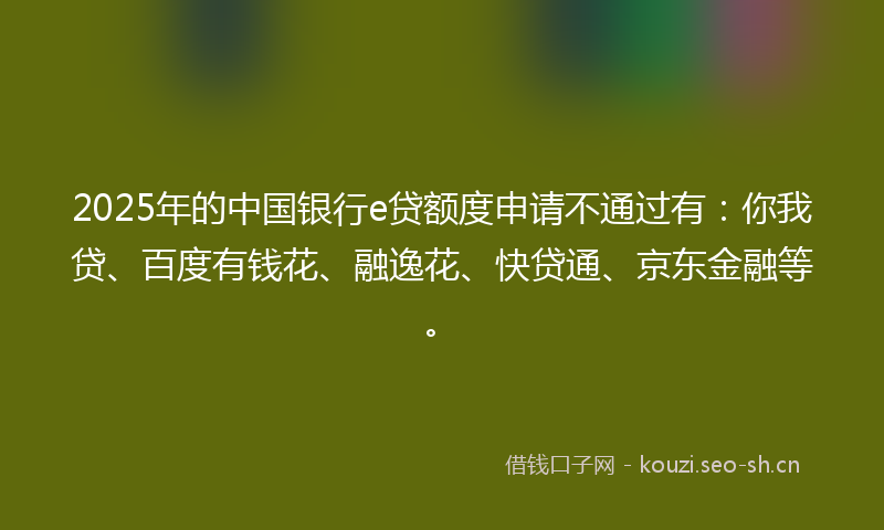 2025年的中国银行e贷额度申请不通过有：你我贷、百度有钱花、融逸花、快贷通、京东金融等。