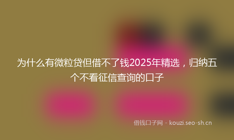 为什么有微粒贷但借不了钱2025年精选，归纳五个不看征信查询的口子