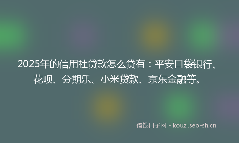 2025年的信用社贷款怎么贷有：平安口袋银行、花呗、分期乐、小米贷款、京东金融等。