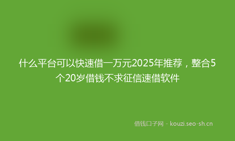 什么平台可以快速借一万元2025年推荐，整合5个20岁借钱不求征信速借软件