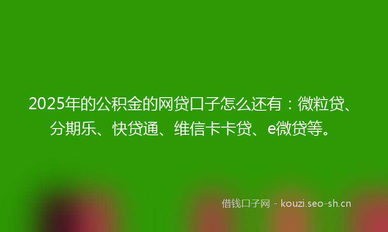 2025年的公积金的网贷口子怎么还有：微粒贷、分期乐、快贷通、维信卡卡贷、e微贷等。