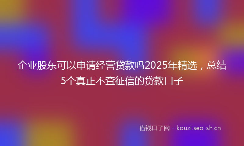 企业股东可以申请经营贷款吗2025年精选，总结5个真正不查征信的贷款口子