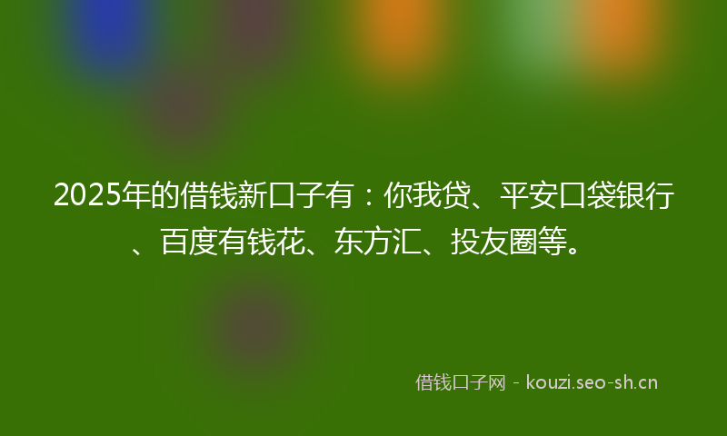 2025年的借钱新口子有：你我贷、平安口袋银行、百度有钱花、东方汇、投友圈等。