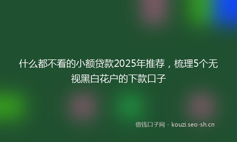 什么都不看的小额贷款2025年推荐,梳理5个无视黑白花户的下款口子
