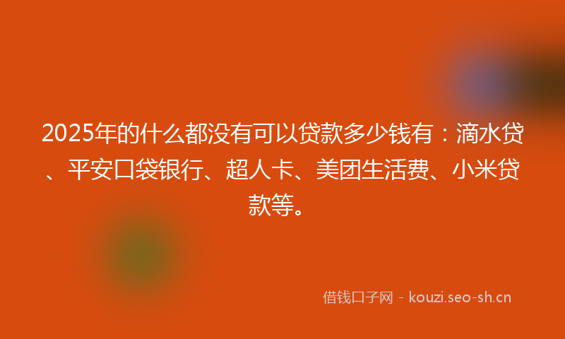 2025年的什么都没有可以贷款多少钱有：滴水贷、平安口袋银行、超人卡、美团生活费、小米贷款等。
