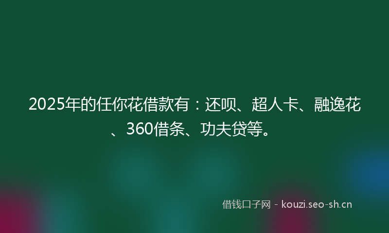 2025年的任你花借款有：还呗、超人卡、融逸花、360借条、功夫贷等。