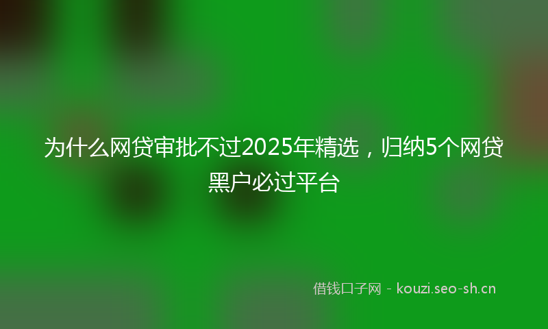 为什么网贷审批不过2025年精选，归纳5个网贷黑户必过平台