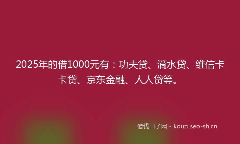 2025年的借1000元有：功夫贷、滴水贷、维信卡卡贷、京东金融、人人贷等。