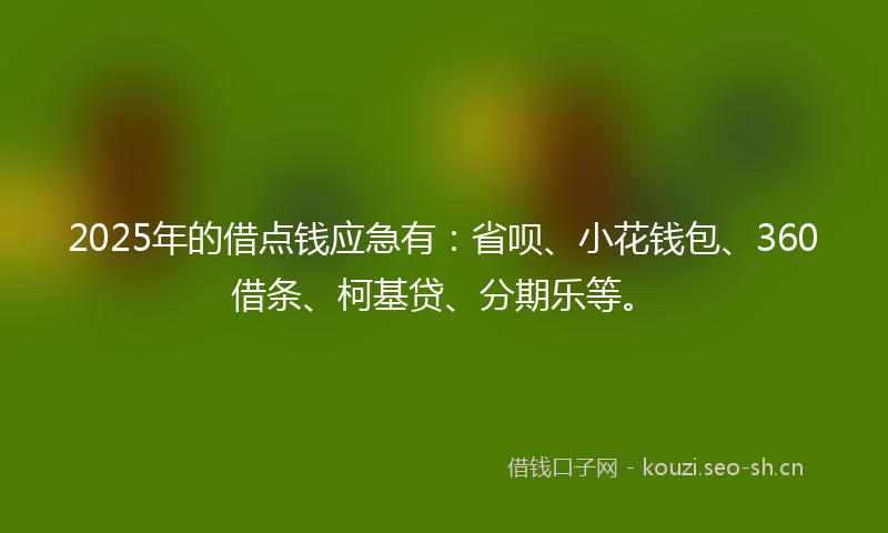 2025年的借点钱应急有：省呗、小花钱包、360借条、柯基贷、分期乐等。