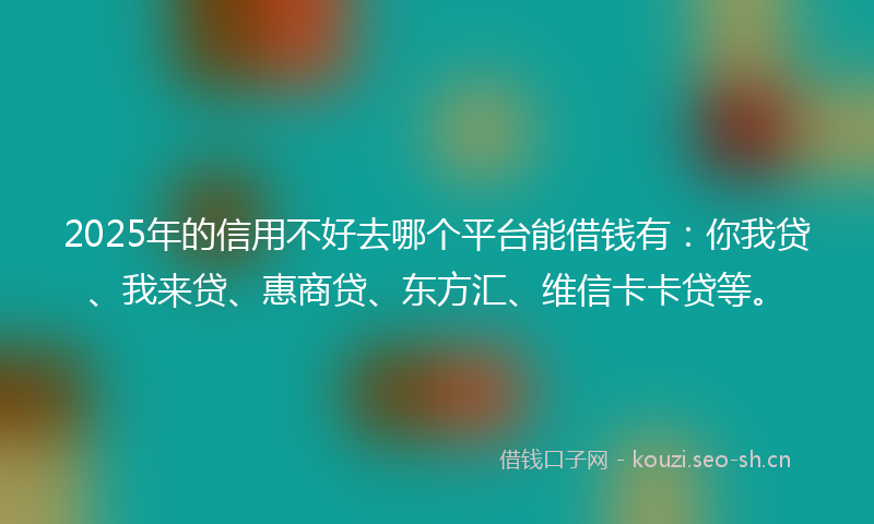 2025年的信用不好去哪个平台能借钱有：你我贷、我来贷、惠商贷、东方汇、维信卡卡贷等。