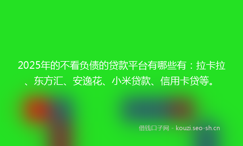 2025年的不看负债的贷款平台有哪些有：拉卡拉、东方汇、安逸花、小米贷款、信用卡贷等。
