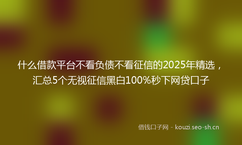 什么借款平台不看负债不看征信的2025年精选，汇总5个无视征信黑白100%秒下网贷口子