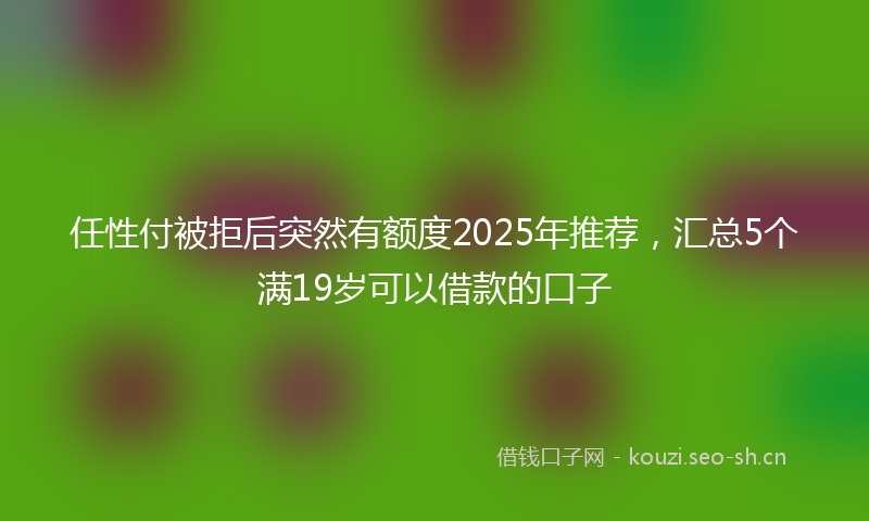 任性付被拒后突然有额度2025年推荐，汇总5个满19岁可以借款的口子