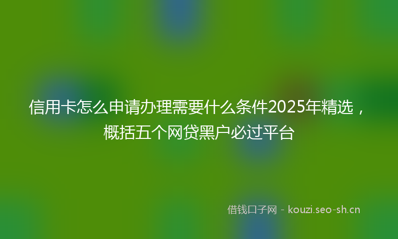 信用卡怎么申请办理需要什么条件2025年精选，概括五个网贷黑户必过平台