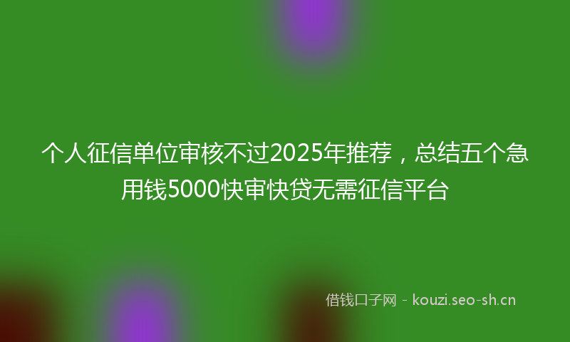 个人征信单位审核不过2025年推荐，总结五个急用钱5000快审快贷无需征信平台