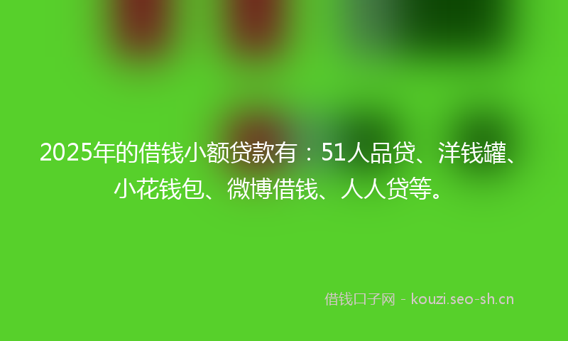 2025年的借钱小额贷款有：51人品贷、洋钱罐、小花钱包、微博借钱、人人贷等。