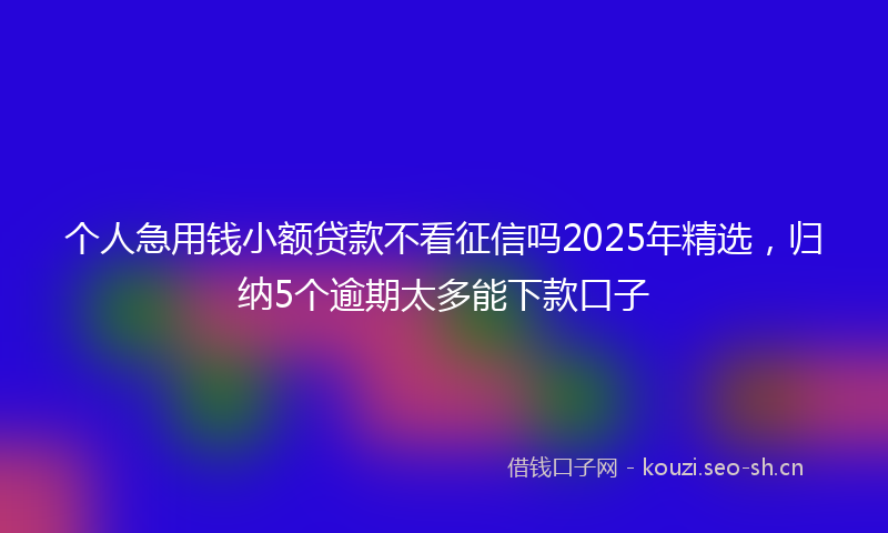 个人急用钱小额贷款不看征信吗2025年精选，归纳5个逾期太多能下款口子