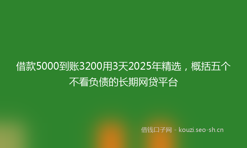 借款5000到账3200用3天2025年精选，概括五个不看负债的长期网贷平台