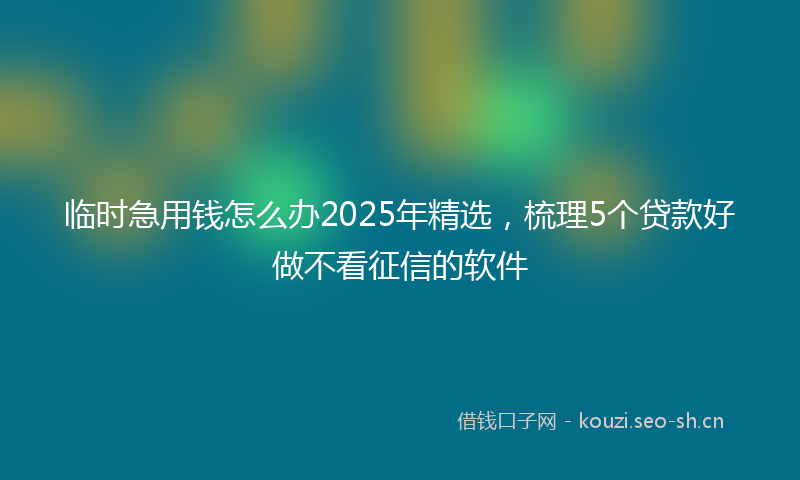 临时急用钱怎么办2025年精选，梳理5个贷款好做不看征信的软件
