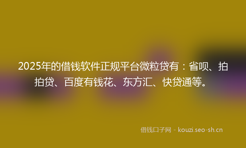 2025年的借钱软件正规平台微粒贷有：省呗、拍拍贷、百度有钱花、东方汇、快贷通等。