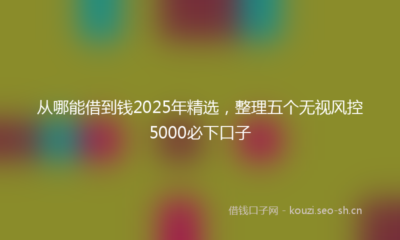 从哪能借到钱2025年精选，整理五个无视风控5000必下口子