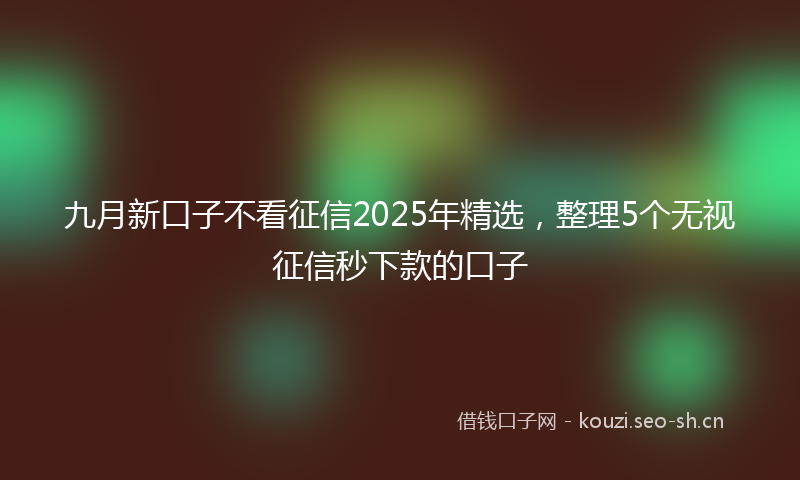 九月新口子不看征信2025年精选，整理5个无视征信秒下款的口子