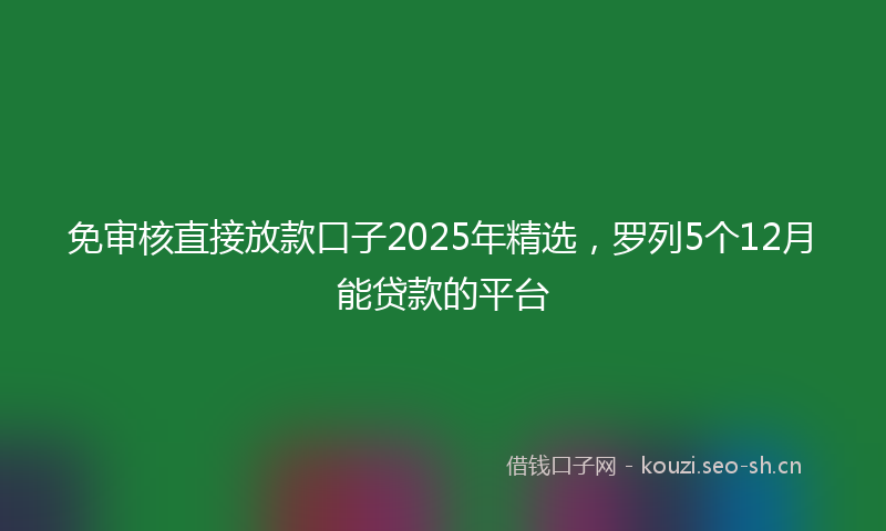 免审核直接放款口子2025年精选，罗列5个12月能贷款的平台
